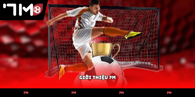 Giới Thiệu 7M về quy trình kiểm tra dữ liệu thi đấu