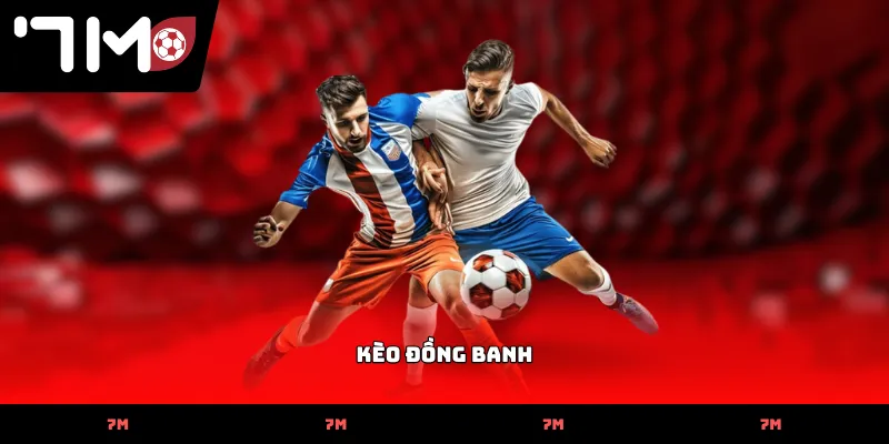 Cách nhận diện tỷ lệ Kèo Đồng Banh trên bảng dữ liệu